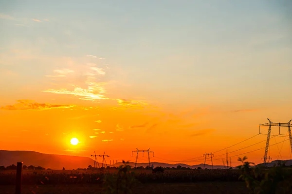 Elektrik direkleri batımında alanıyla 