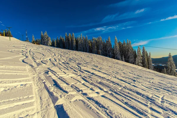 Winterwald Mit Schneebedeckten Tannen — Stockfoto