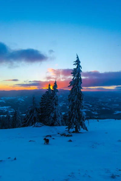 Pôr Sol Céu Noite Neve Inverno Coberto Montanhas Paisagem Com — Fotografia de Stock
