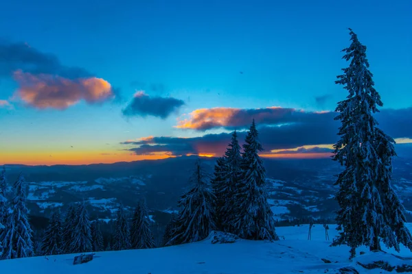 夕方の夕焼け空は 冬雪覆われた針葉樹 冬のリゾート地と山の風景 — ストック写真