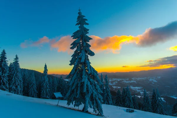 Atardecer Cielo Atardecer Invierno Nieve Montañas Paisaje Con Árboles Coníferas — Foto de Stock