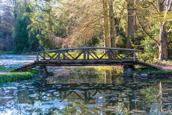 Parque Otoño Con Árboles Brillantes Follaje Pequeño Puente Madera Través — Foto de Stock