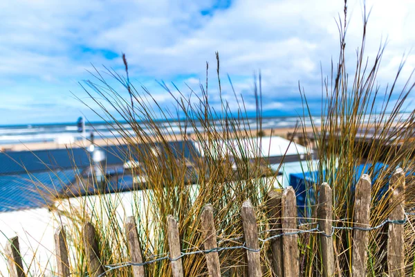 Uitzicht Het Strand Door Planten Gras — Stockfoto