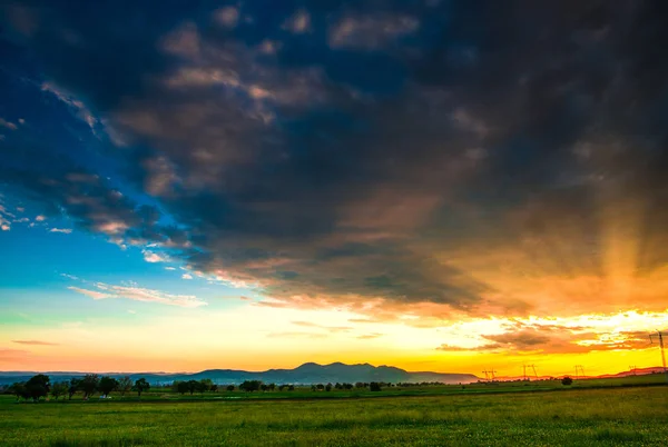 Cielo Puesta Del Sol Prado Hierba Verde — Foto de Stock