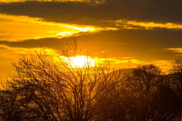 Field Landscape Sunset Sky Background — Stock Photo, Image