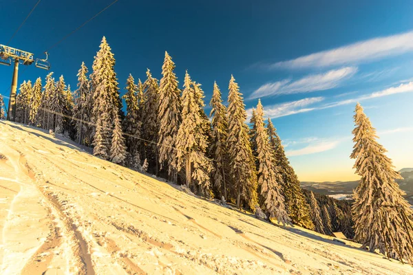 Arbres Enneigés Hiver Ciel Bleu Concept Nature — Photo