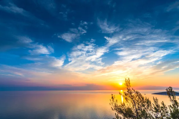 Sea Water Sunset Sky Growing Plants — Stock Photo, Image