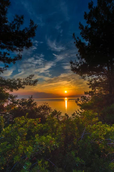 Восход Солнца Над Озером Растущие Деревья Острове — стоковое фото