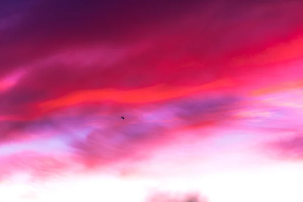 Zářivě Růžové Nebe — Stock fotografie