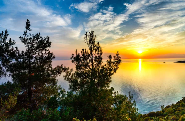 Céu Por Sol Acima Lago Árvores Crescentes Ilha — Fotografia de Stock