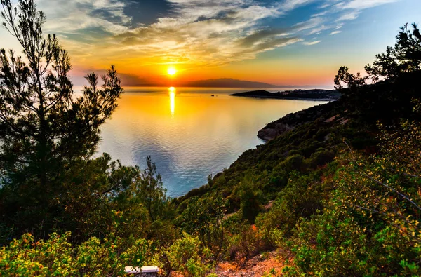 Sunset Sky Lake Growing Trees Island — Stock Photo, Image