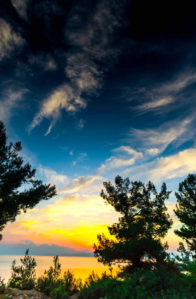 Céu Por Sol Acima Mar Plantas — Fotografia de Stock