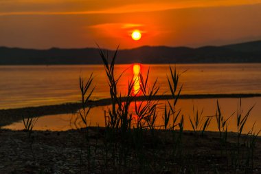 akşam günbatımı gökyüzü günbatımı yansıması ile çim ve göl su büyüyen, 