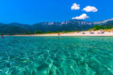 Zakynthos, Yunanistan - 31 Ağustos 2016: Açık deniz suyunun tadını çıkaran turistler.