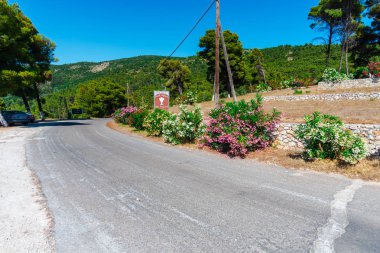 Yunanistan sahilinde düzenli çiçekler