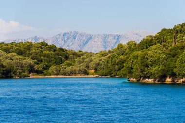 Yemyeşil ağaçlar ve çalılar, Yunanistan ile deniz Akdeniz sahil.
