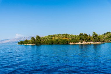 Yemyeşil ağaçlar ve çalılar, Yunanistan ile deniz Akdeniz sahil.