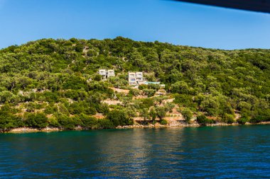 Yemyeşil ağaçlar ve çalılar, Yunanistan ile deniz Akdeniz sahil.
