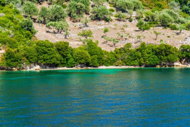 Yemyeşil ağaçlar ve çalılar, Yunanistan ile deniz Akdeniz sahil.