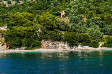 Yemyeşil ağaçlar ve çalılar, Yunanistan ile deniz Akdeniz sahil.