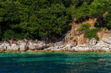 Yemyeşil ağaçlar ve çalılar, Yunanistan ile deniz Akdeniz sahil.