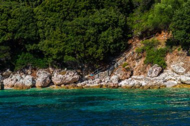 Yemyeşil ağaçlar ve çalılar, Yunanistan ile deniz Akdeniz sahil.