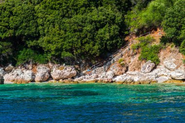 Yemyeşil ağaçlar ve çalılar, Yunanistan ile deniz Akdeniz sahil.