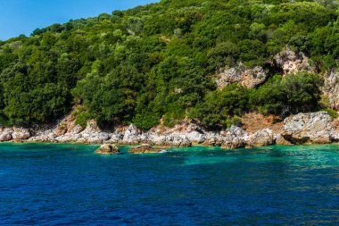 Yemyeşil ağaçlar ve çalılar, Yunanistan ile deniz Akdeniz sahil.