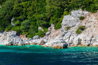 Yemyeşil ağaçlar ve çalılar, Yunanistan ile deniz Akdeniz sahil.