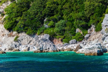 Yemyeşil ağaçlar ve çalılar, Yunanistan ile deniz Akdeniz sahil.