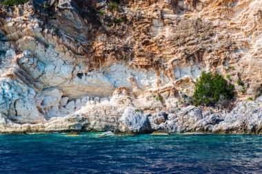 Sardunya ve deniz su kayalık sahil 