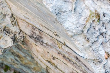 Cliff ayrıntıları, doğal arka plan closeup.