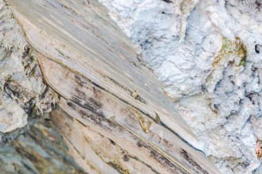 Cliff ayrıntıları, doğal arka plan closeup.