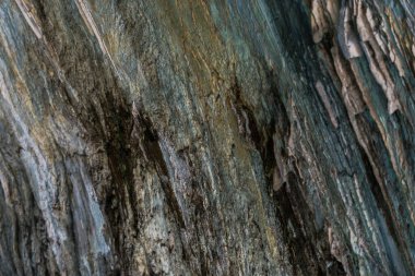 Cliff ayrıntıları, doğal arka plan closeup.