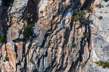 Cliff ayrıntıları, doğal arka plan closeup.