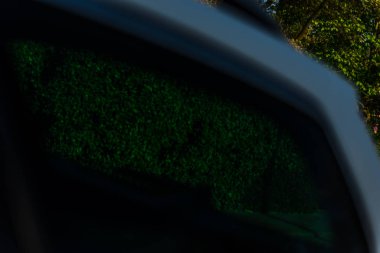 Yeşil ağaçlarda araba penceresinden görünüm