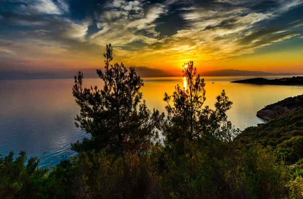 Céu Por Sol Acima Lago Árvores Crescentes Ilha — Fotografia de Stock