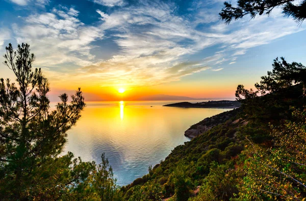 Ηλιοβασίλεμα Ουρανό Πάνω Από Λίμνη Και Καλλιέργεια Δέντρων — Φωτογραφία Αρχείου