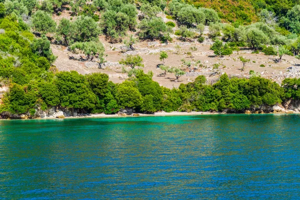 Wybrzeże Morza Śródziemnego Zielonych Drzew Krzewów Grecja — Zdjęcie stockowe