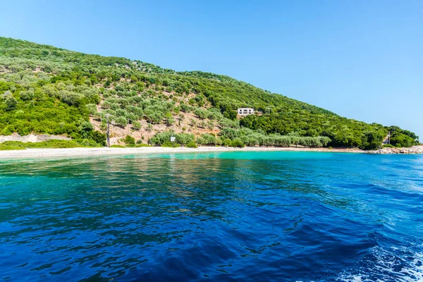 Yemyeşil Ağaçlar Çalılar Yunanistan Ile Deniz Akdeniz Sahil — Stok fotoğraf