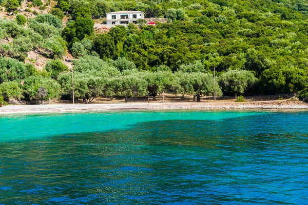 緑の木々 や茂み ギリシャと地中海の海岸 — ストック写真