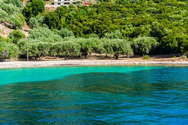 Yemyeşil Ağaçlar Çalılar Yunanistan Ile Deniz Akdeniz Sahil — Stok fotoğraf