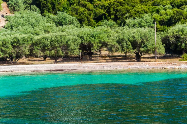 Costa Mediterrâneo Com Árvores Verdes Arbustos Grécia — Fotografia de Stock