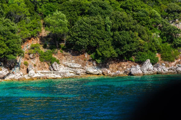 緑の木々 や茂み ギリシャと地中海の海岸 — ストック写真