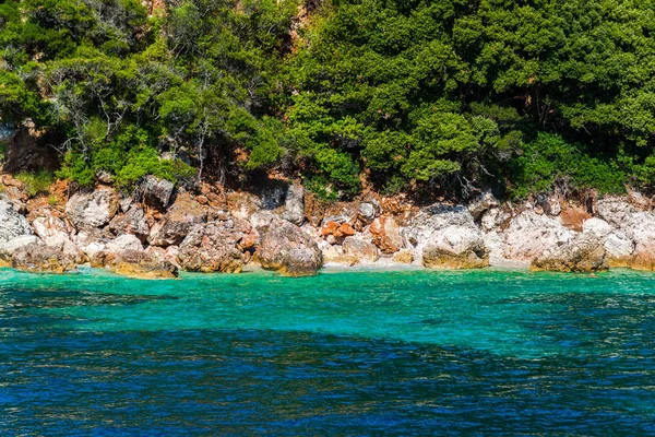 Coast Mediterranean Sea Green Trees Bushes Greece — Stock Photo, Image