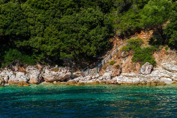 地中海海岸与绿色的树和灌木 — 图库照片