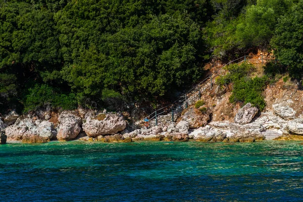 地中海海岸与绿色的树和灌木 — 图库照片