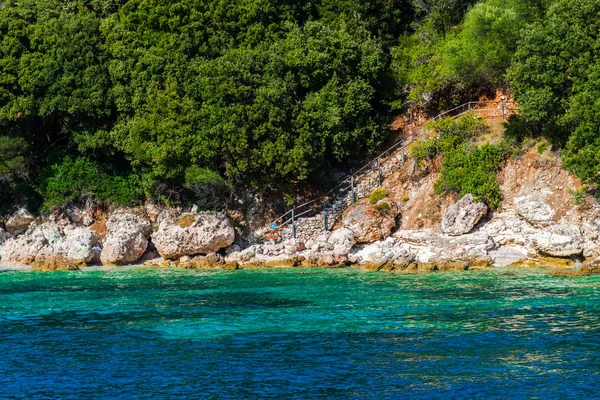 緑の木々 や茂み ギリシャと地中海の海岸 — ストック写真