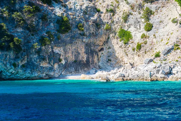 Playa Rocosa Plantas Montaña — Foto de Stock