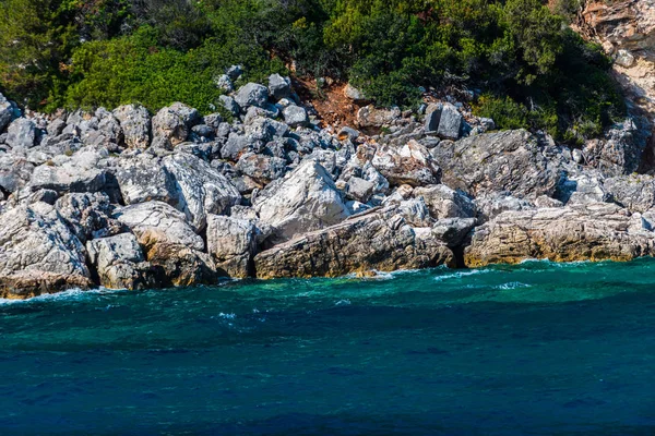 Playa Rocosa Plantas Montaña — Foto de Stock